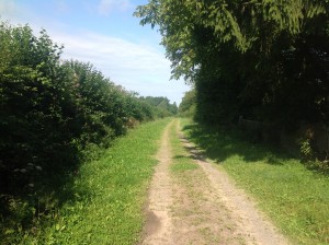 chemin de randonnée